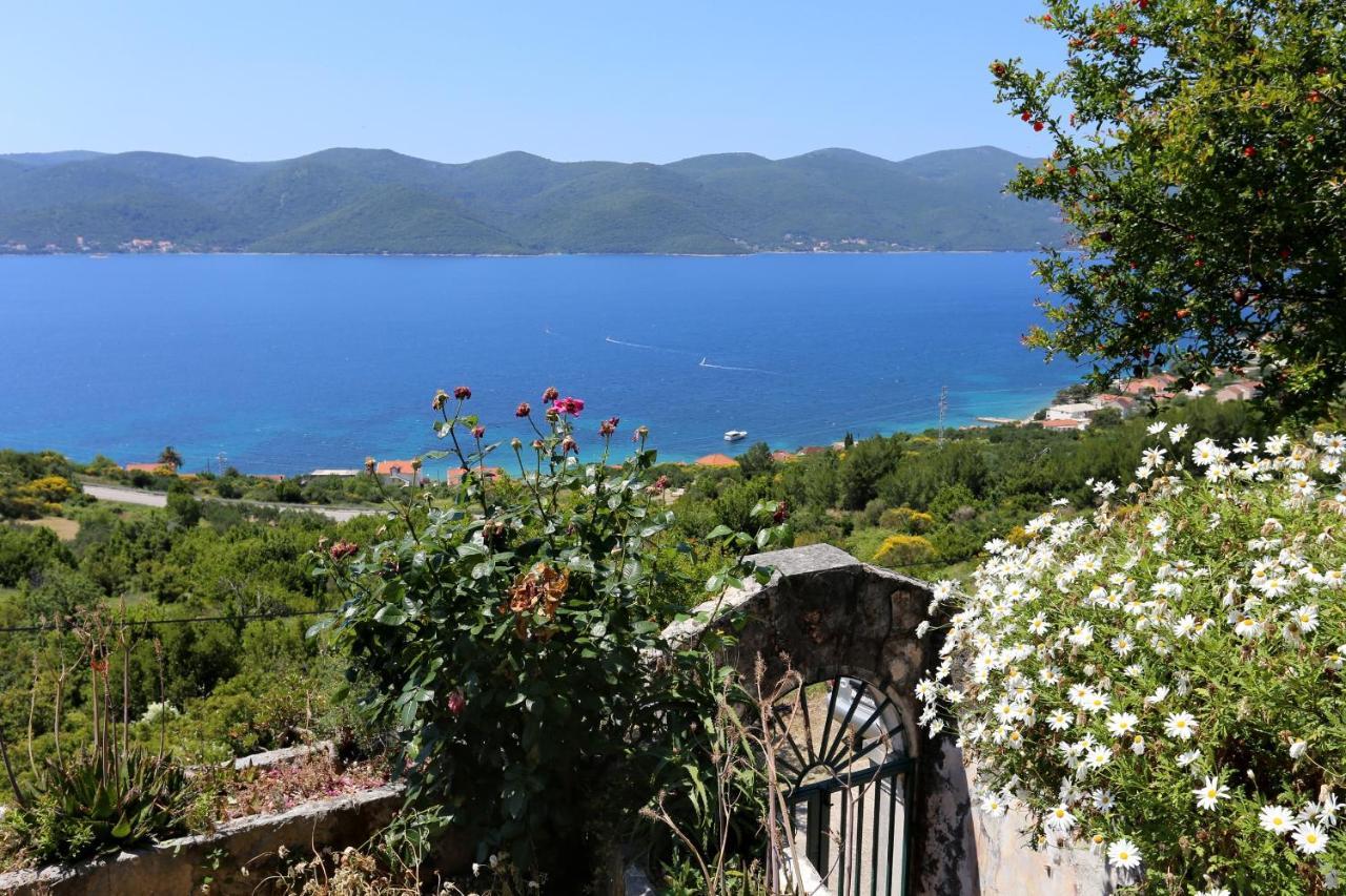 Holiday House With A Parking Space Viganj - Podac, Peljesac - 10141 Εξωτερικό φωτογραφία